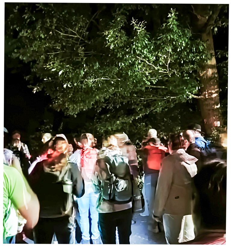 Nachtwanderung „Wanderung für Nachtaktive“ Nachtwanderung